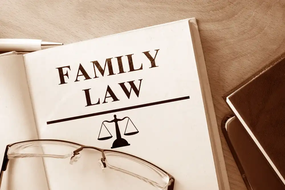 Family & Divorce Law service illustration